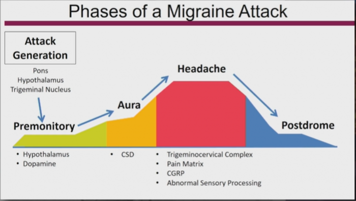 HEADACHE: and sensory sensitivities - Toronto Concussion Clinic